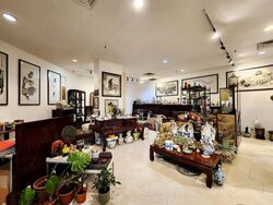 Balestier Point (D12), Shop House #520957101